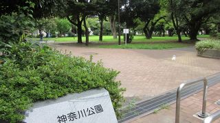 緑多い公園