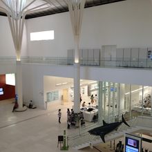 エントランス近くの吹き抜け空間