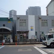 早朝、築地市場マグロ卸売場見学の受付窓口です～