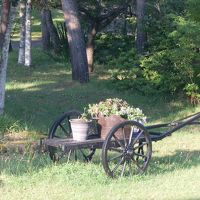 部屋からの景観。馬車の上の植木鉢の小さな花々が可憐でした。