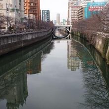 桜のない時期は静か