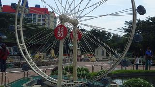 家族で楽しめます