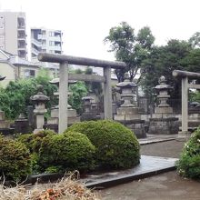 なんだか複雑な事情があるみたい