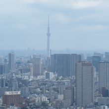 展示室の有る４２Ｆからの展望