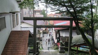 まったり。o(^o^)o