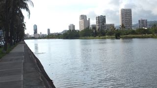 ワイキキっ子のジョギング＆ウォーキングのメッカです