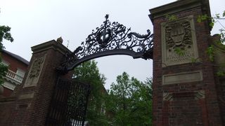 緑が多かったです。