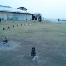 うさきさんと島根県立美術館(強風でピンぼげ気味）