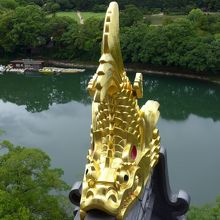 金のしゃちほこ