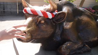 福岡に来たら欠かせない、見応えのある神社