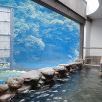 自炊部にある女性専用露天風呂は、しっかりと虫除けネット有り