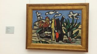 写真も撮れます