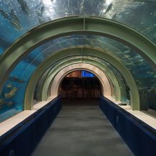 トンネル式の所もありました