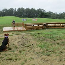 NZファームショー