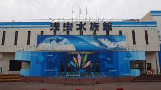 思ったより広かった！