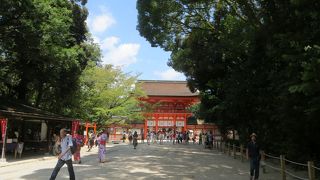 新品の朱色の門に見えます。