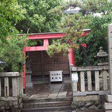 住吉神社で撮影