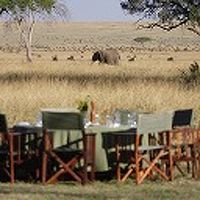 the camp with a view