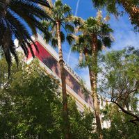 プールエリアから