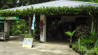 営業してました