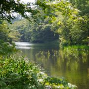 軽井沢の別荘地にある湖