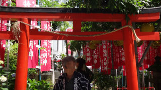 お狐さまがお集まり