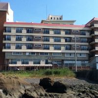 チェックアウト前にホテル前で磯遊び