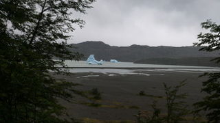 グレイ湖に浮かぶ青い氷河