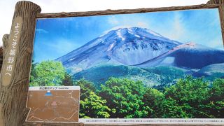 ガスで富士山は見れず。