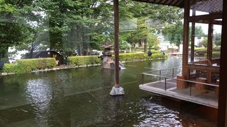 尾瀬ハイキングの帰りに