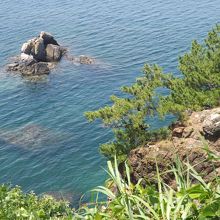 常神半島で撮影