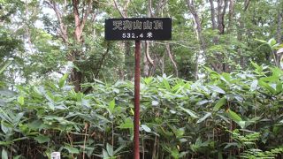 運河とはちがった小樽の景色