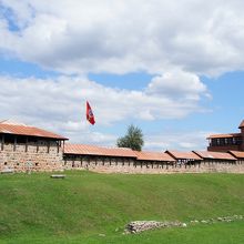 日に映えて綺麗