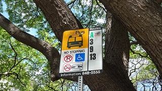 はじめてのザバス