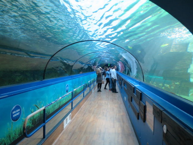 シーライフ シドニー水族館
