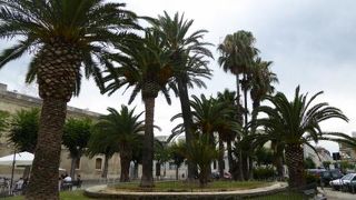 ヤシの木がそよぐ広場♪