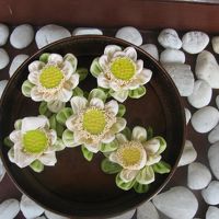 ロビーのテーブルに蓮の生花のオブジェが飾られていました。