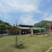 子供が遊べるだけの広い敷地があります。