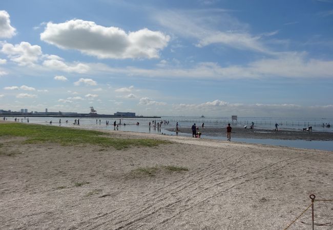 ふなばし三番瀬海浜公園 ふなばし三番瀬環境学習館