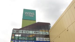 楽しめる施設が多いです。