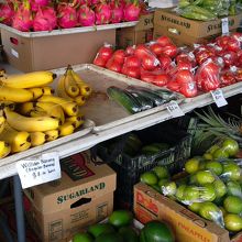 続いて野菜・果物食品コーナーへ