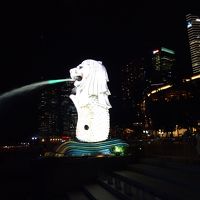 部屋からはミニサイズのマーライオンが見えます