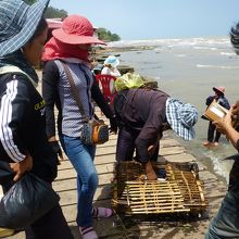 ビーチでは取れたてのカニの売買が