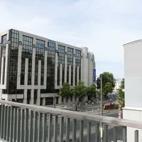 近くの公園から