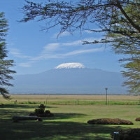 the kili from the garden