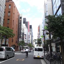 手入されている椿