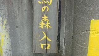 野鳥に興味がない人も