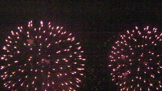 それほど混雑しないでゆっくり見られます