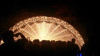 光のトンネルがとにかくすごい！