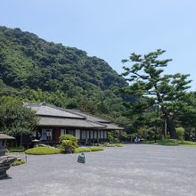 御殿と松（ヤクタネゴヨウ）。